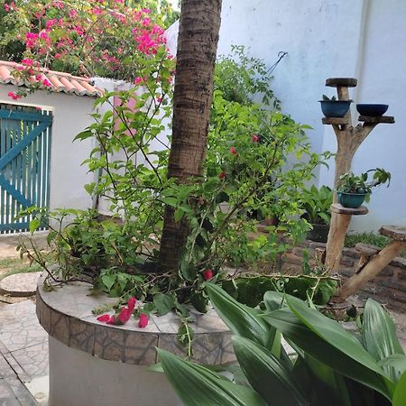 Residencial Dos Freitas Apartment Jijoca de Jericoacoara Bagian luar foto